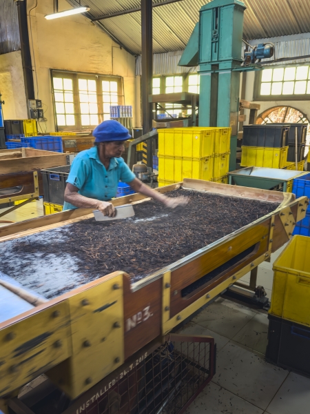 Elpitiya Tea Estate Image